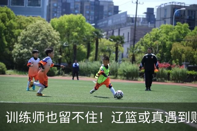 训练师也留不住！辽篮或真遇到财务危机，赵继伟付豪也不是不能卖