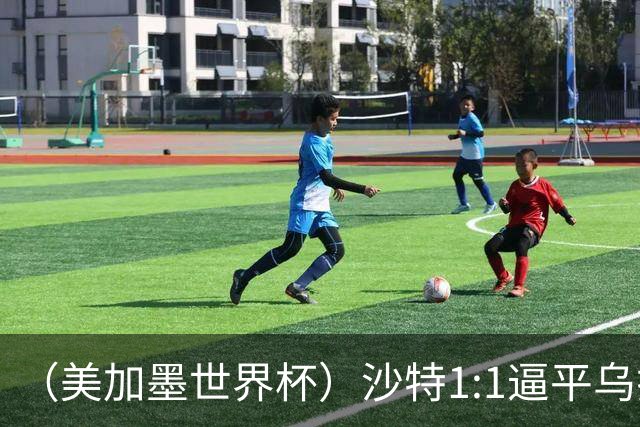 （美加墨世界杯）沙特1:1逼平乌拉圭 伊朗2:2战平新西兰